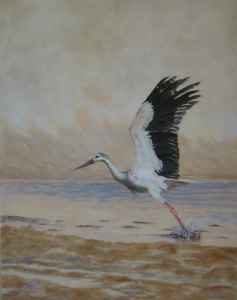 Stork Landing