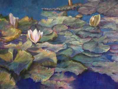 The Water Lilly Pond