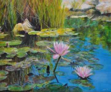 Water Lilly Pond