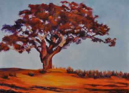 The Cork Oak Tree