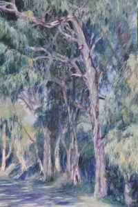 Eucalyptus Walk